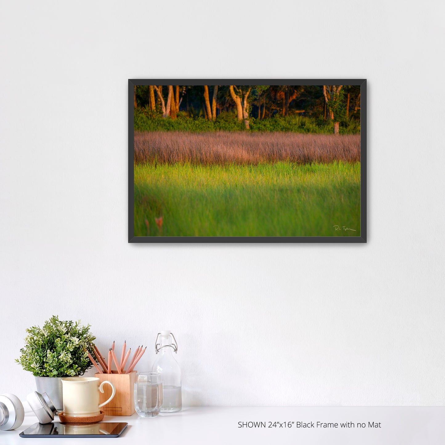 Marsh Grass - Port Royal Sound