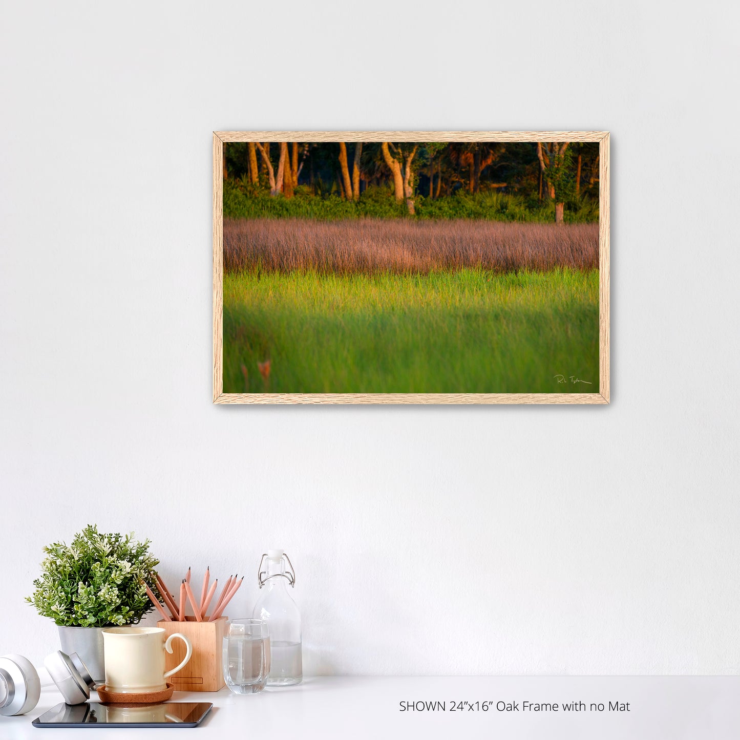 Marsh Grass - Port Royal Sound