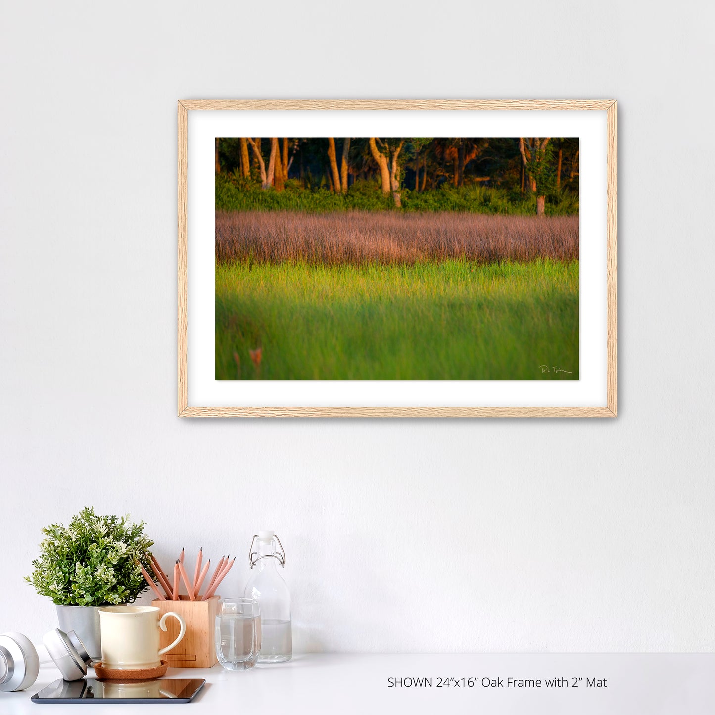 Marsh Grass - Port Royal Sound