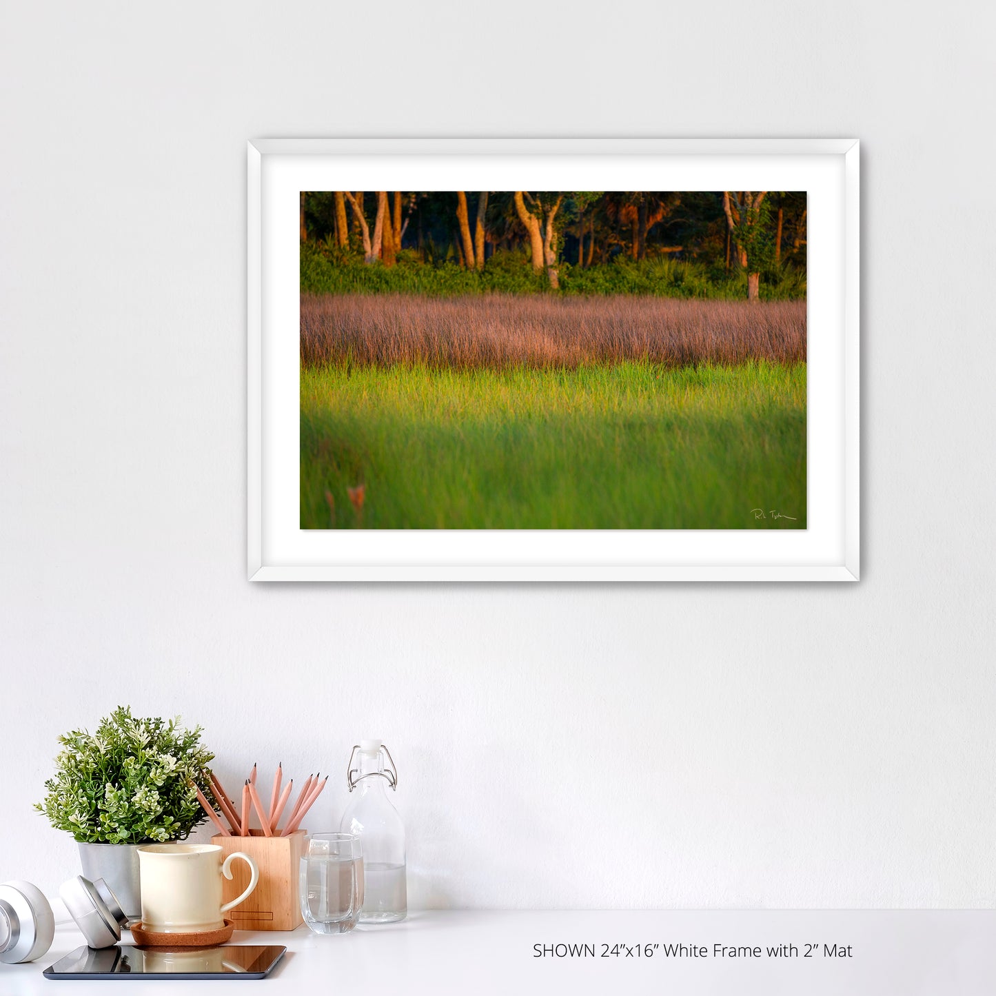 Marsh Grass - Port Royal Sound