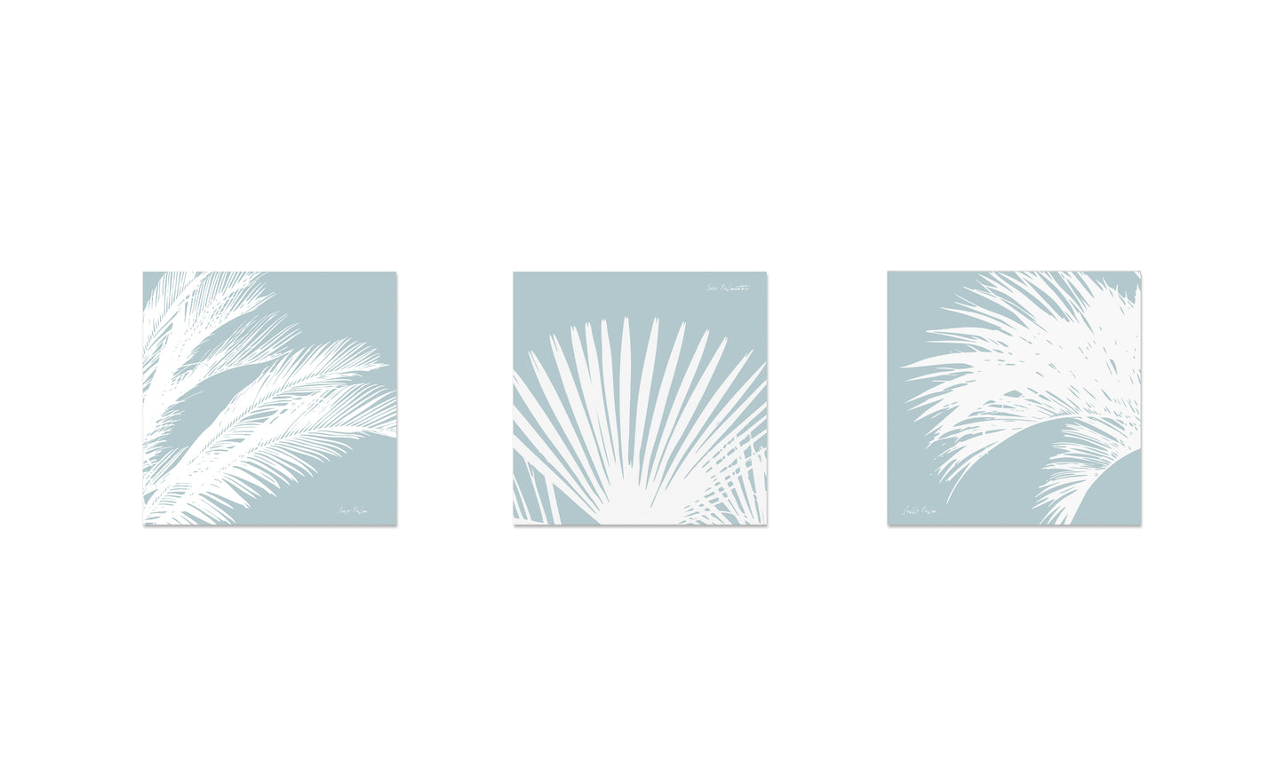 South Carolina Palms Triptych (three 12"x12" framed prints)