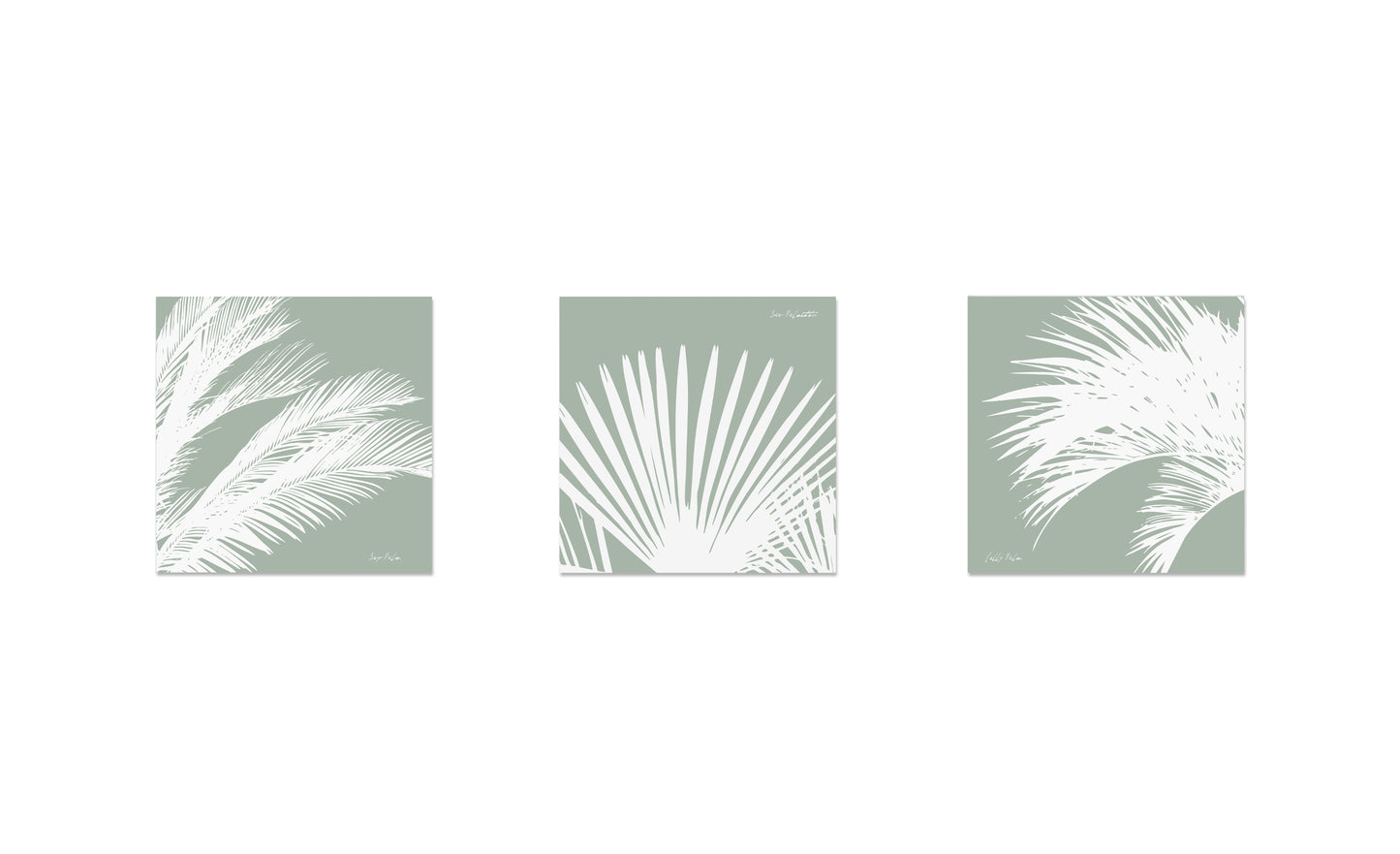 South Carolina Palms Triptych (three 12"x12" framed prints)