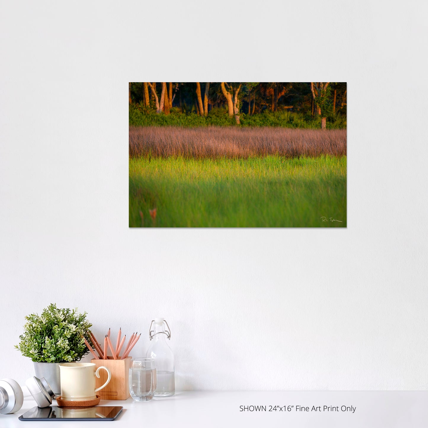 Marsh Grass - Port Royal Sound
