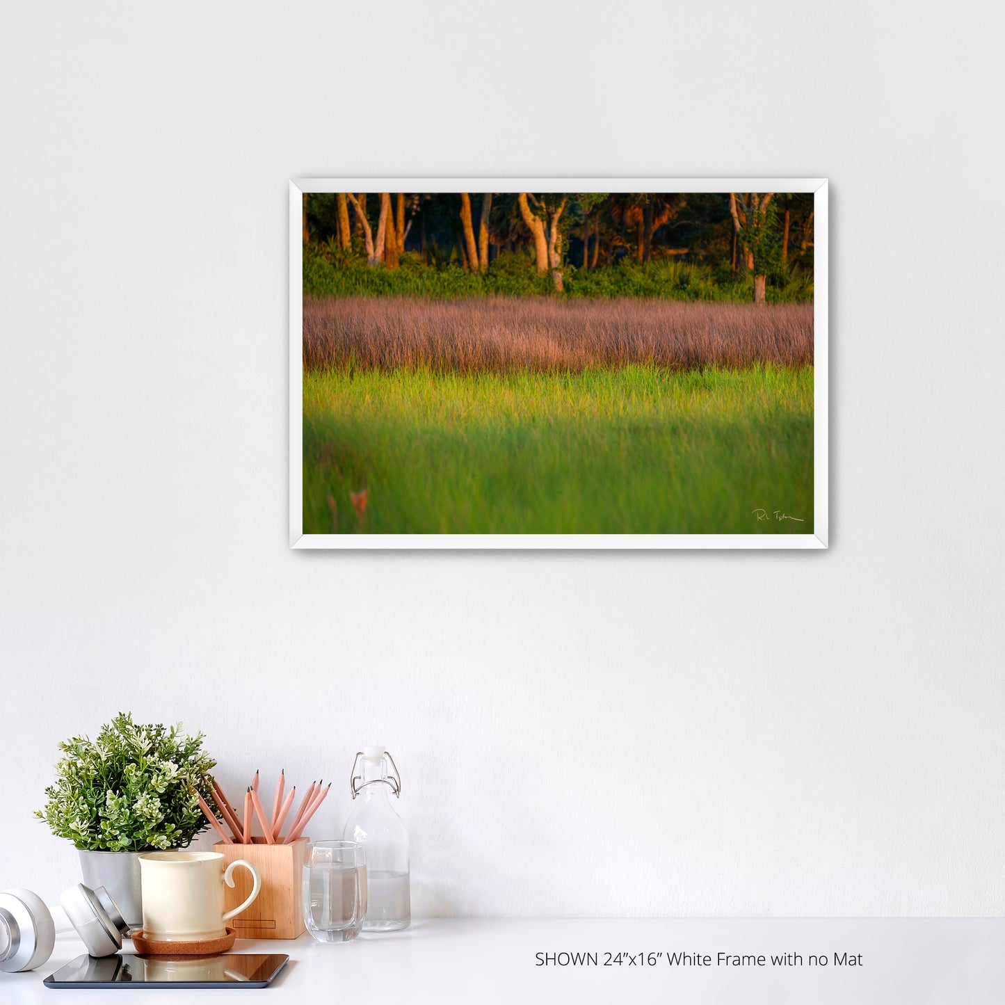 Marsh Grass - Port Royal Sound