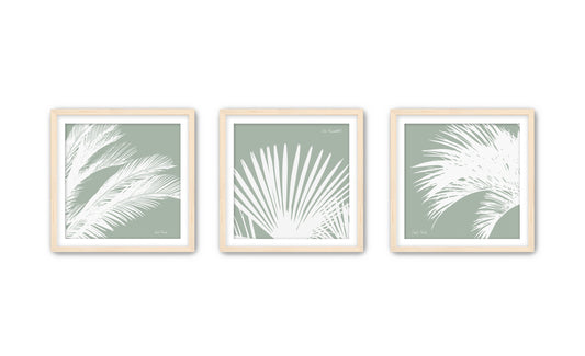 South Carolina Palms Triptych (three 12"x12" framed prints)